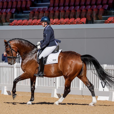 Training your young horse - Tips from one of Australia's top dressage riders!