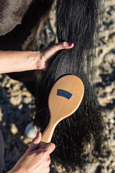 Essential Horse Grooming