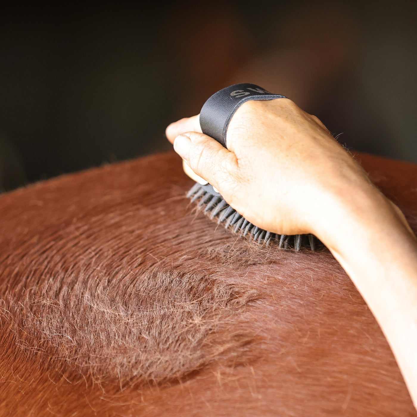 GeeGee COLLECTIVE | Swift Curry Comb