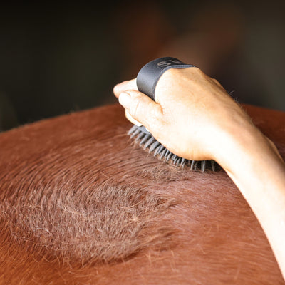 GeeGee COLLECTIVE | Swift Curry Comb