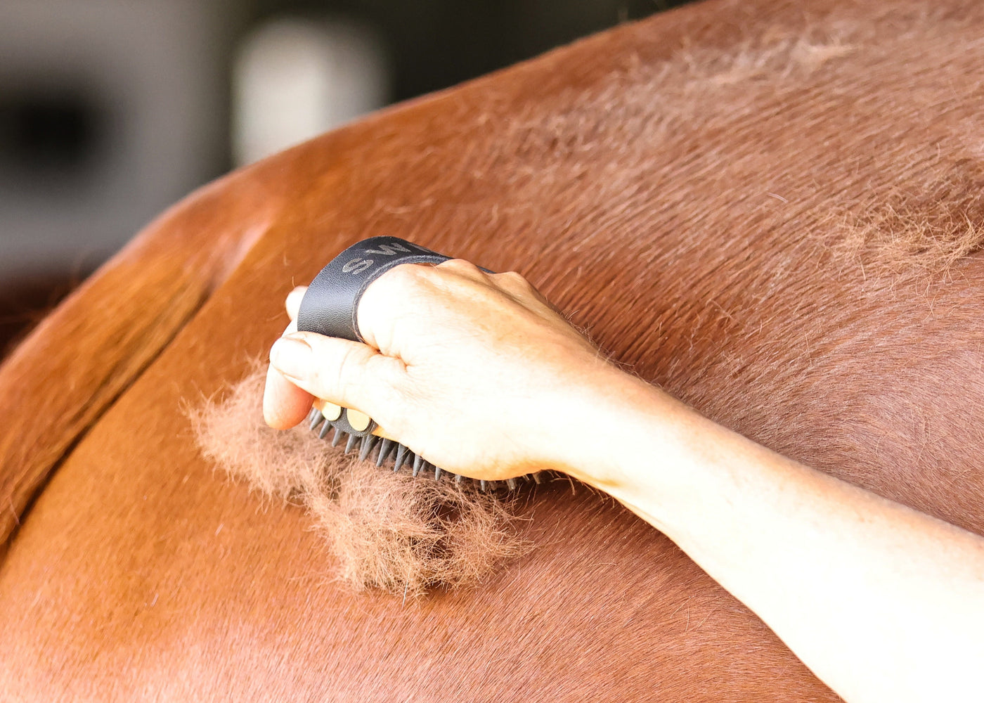 Person grooming a horse with a brush, focusing on the action of brushing