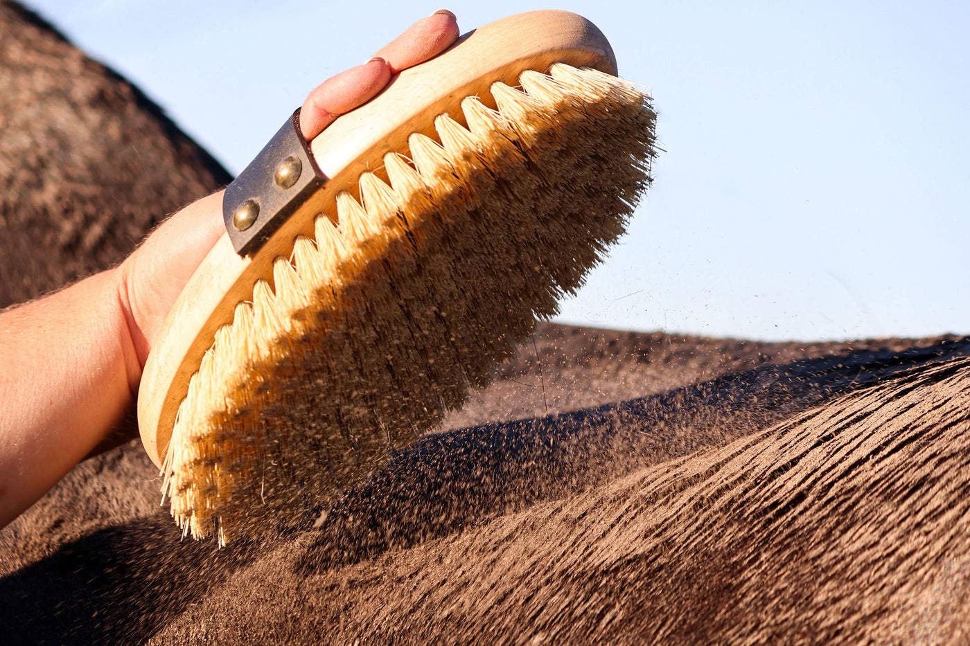 Christmas 2025 Set | Lunch Bag + 3 Brushes