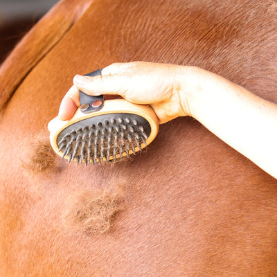 Person grooming a horse with a brush, showing hair being removed from the horse's coat.