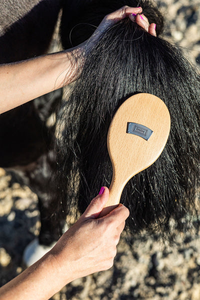 Mini Mane and Tail Brush