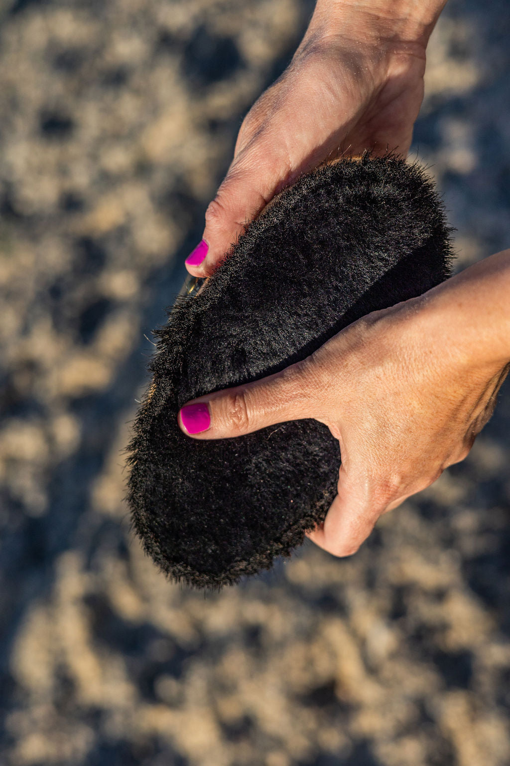 'Dazzle' Wool Body Brush
